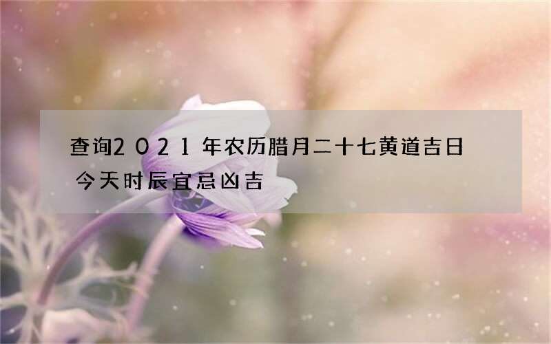 查询2021年农历腊月二十七黄道吉日 今天时辰宜忌凶吉